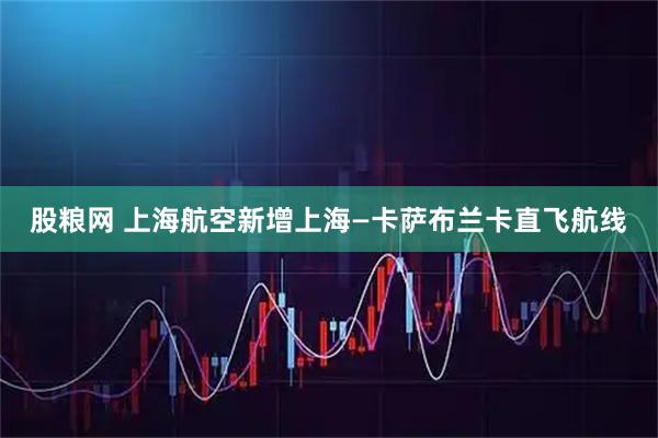 股粮网 上海航空新增上海—卡萨布兰卡直飞航线