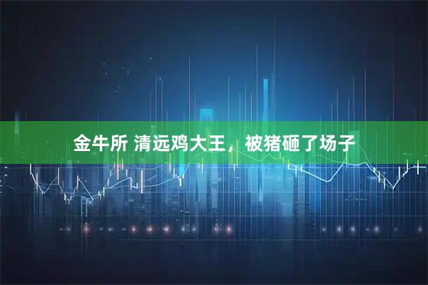 金牛所 清远鸡大王，被猪砸了场子