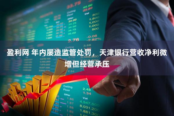 盈利网 年内屡造监管处罚，天津银行营收净利微增但经营承压