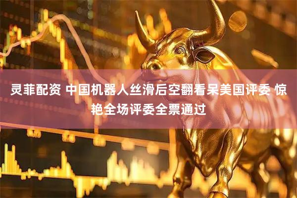 灵菲配资 中国机器人丝滑后空翻看呆美国评委 惊艳全场评委全票通过